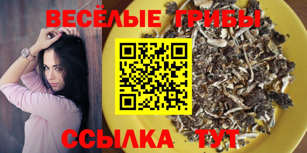 Галлюциногенные грибы ЛСД Евпатория