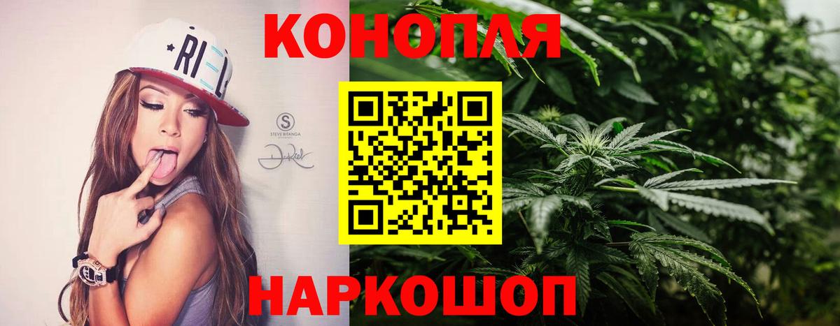 Шишки марихуана план Евпатория